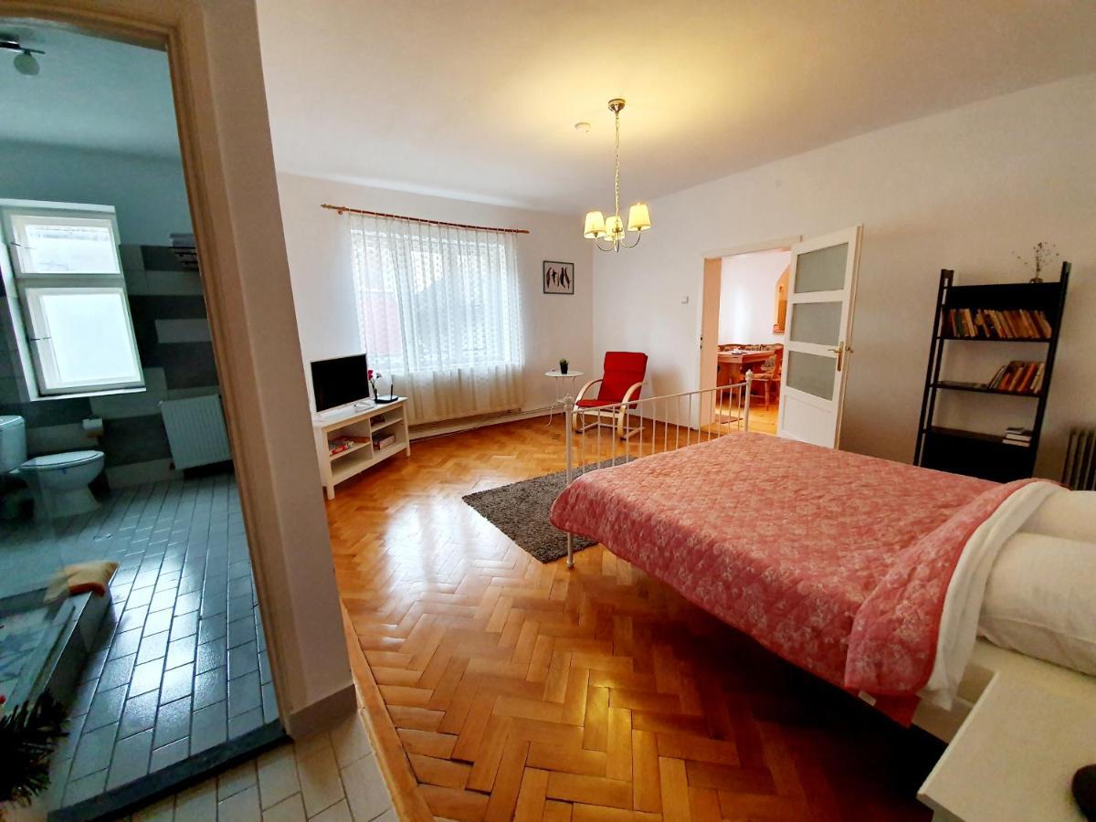 Luk Old Town Apartment Sibiu Eksteriør billede